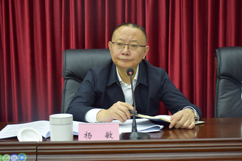市中级人民法院院长杨敏.jpg