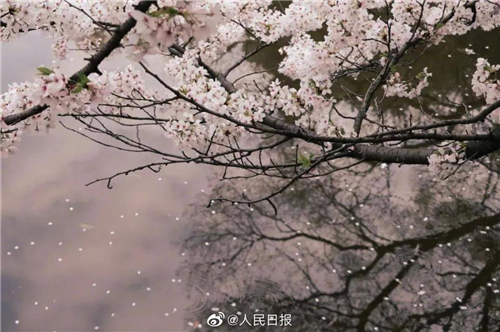 微信图片_20200310150415_副本.jpg 微信图片_20200310150415_副本.jpg