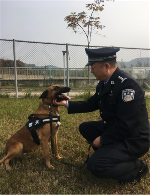 警犬队长张冰:以犬为伴 无悔追踪