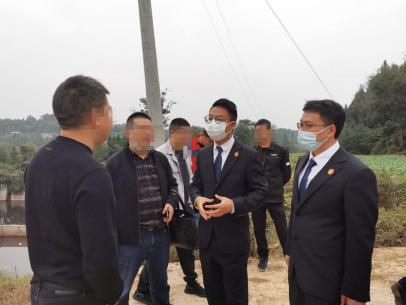 雷霆出击绵竹法院异地执行保全生猪600余头1.png