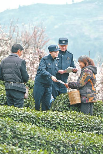 峨眉山下茶飘香茶市茶园警色美