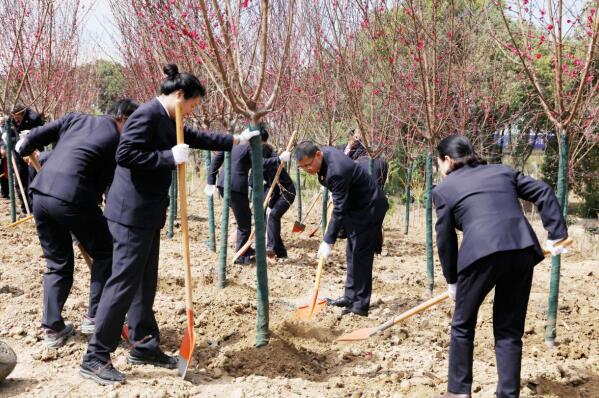 綿陽市檢察院：主題黨日活動義務植樹護生態