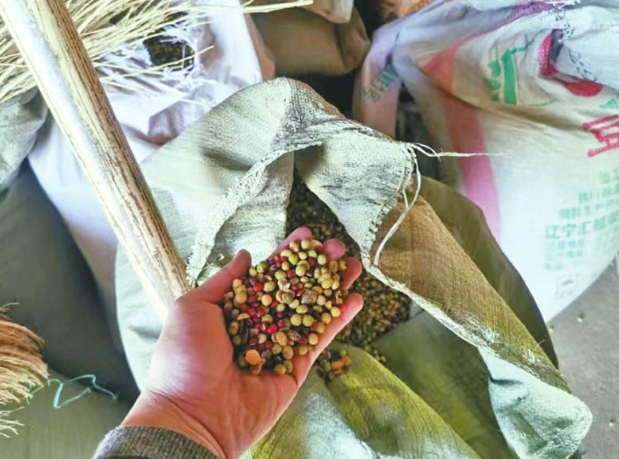 省公安厅发布3起打击伪劣农资典型案例