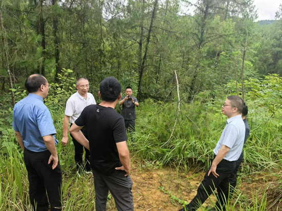 武侯区法治教育基地建设设计方案0826(2).png