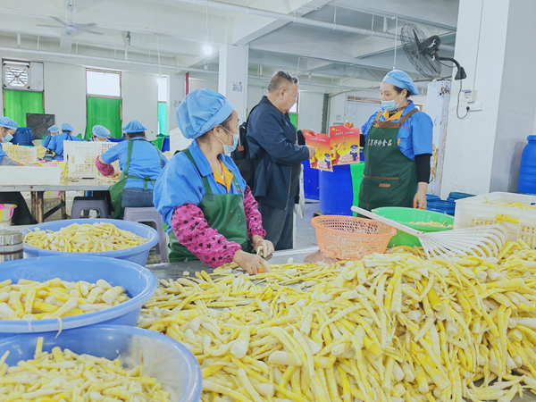 图片11.png 图片11.png