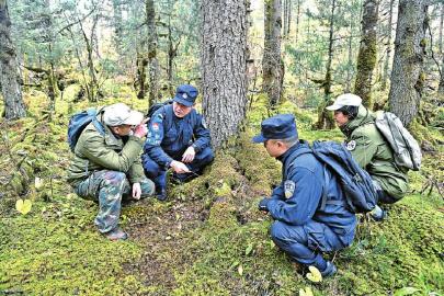 m_b725ea8fe6e2cfedb30f91327e81beab.jpg m_b725ea8fe6e2cfedb30f91327e81beab.jpg