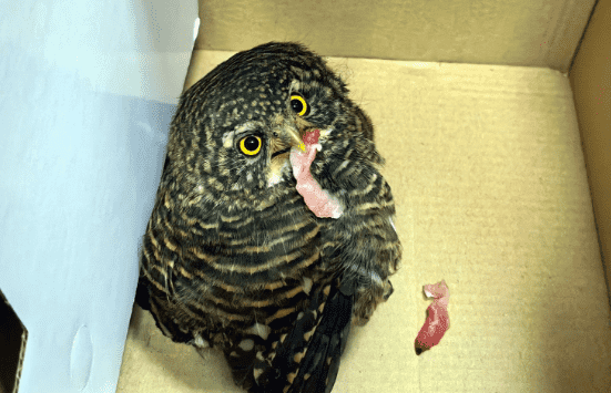 微信图片_2025-11-17_152135_505_new.png 微信图片_2025-11-17_152135_505_new.png