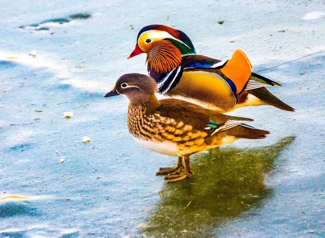 图片4.jpg 图片4.jpg