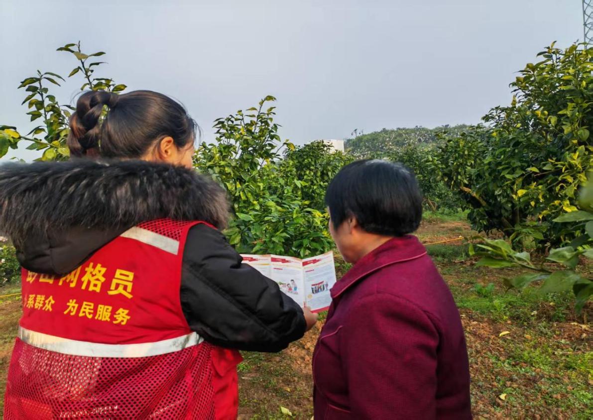 图片2.jpg 图片2.jpg