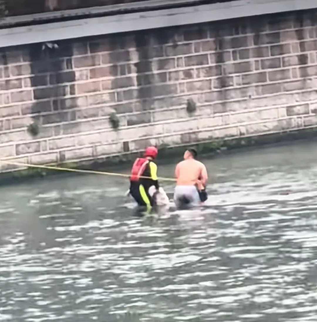 640_wx_fmt=jpeg&from=appmsg&tp=webp&wxfrom=5&wx_lazy=1 (2).jpg 640_wx_fmt=jpeg&from=appmsg&tp=webp&wxfrom=5&wx_lazy=1 (2).jpg